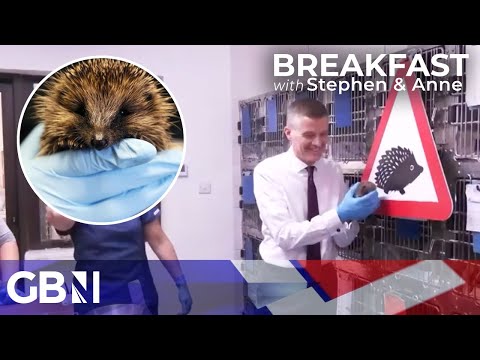 Road Signs for Hedgehogs: Transport Secretary switches up his clientele