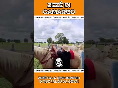 ZEZÉ FALA QUE CUMPRIU O QUE FALOU! #zezédicamargoeluciano #zezedecamargo #animais