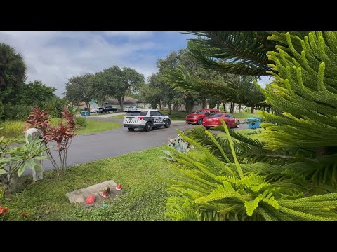 Флорида 🌴	Полицейская операция у меня под окнами и утро в саду 🌿Мой завтрак 🥞 