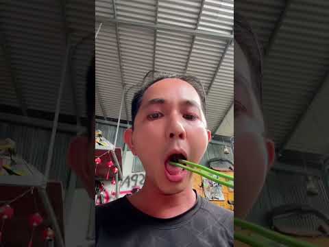 Cha nào lũi vô nhà tui zay troi 😂😂😂 #mobylette #sachs