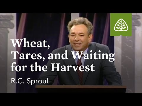Wheat, Tares, and Waiting for the Harvest: Communion of Saints with R.C. Sproul