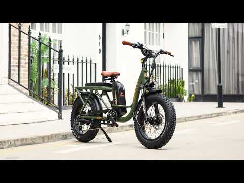 Addmotor M-81 - 2022 New Cargo Electric Bike