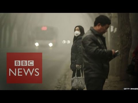 China smog: 'Sky dark from air pollution'  - BBC News - UC16niRr50-MSBwiO3YDb3RA