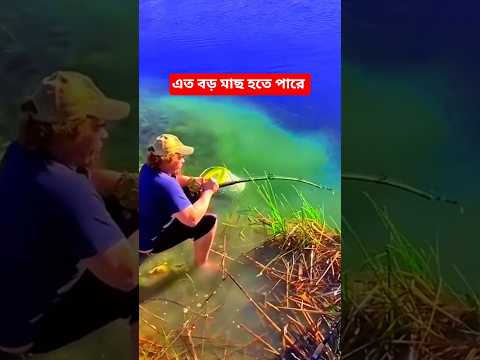 এত বড় মাছ হতে পারে #fishing #new #fish #islam #islamic #shortvideos #shorts #short #china