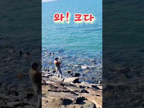강한 공격성 때문에 삶을 마감한 이넘에 정체는 !  #shorts