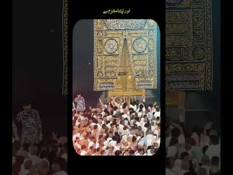 Status - Sarkar ﷺ Bulaengy - Hafiz Tahir Qadri