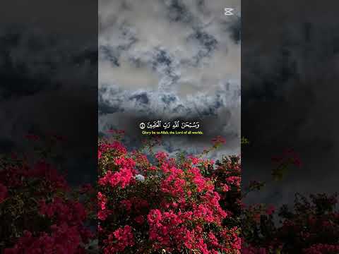 اشتركو واكتبوا شي توجرون عليه # احبكم💗💗💜💜💜💜