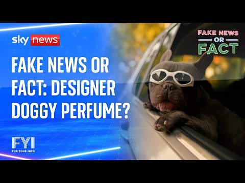 Fake News or Fact: Designer doggy perfume?