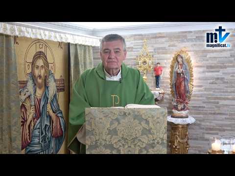 "Jesús, Tú eres mi Salvador" | Homilía, Viernes, XXV, Semana del T.O (25-09-2026) | P. Santiago M