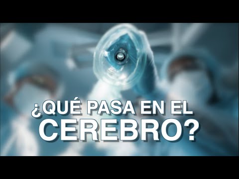 El Misterio de la Anestesia