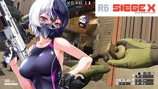 罠　引っかかる　#R6S　#シージ