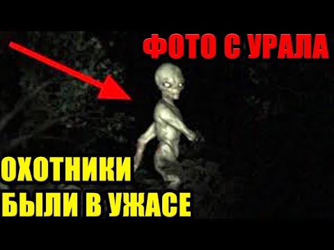
ПРОСТО УЖАС!!! 26/10/2025!!  ЧТО ОНИ ТВОРЯТ С НАМИ !!!