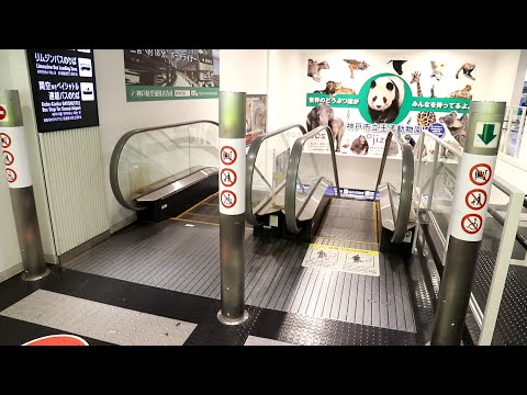 【三菱製】神戸空港 降りエスカレーター