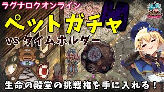 【RO】生命の殿堂の挑戦権を手に入れろ！ペットガチャでボスカード2枚分の性能を持つタイムホルダーを狙います！