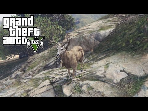 GTA 5 Next Gen - IM A DEER - UCAbdeLiTPdjk1X2TY_ZdLDw