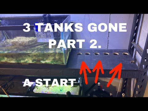 REBUILDING THE FISH ROOM PART 2.TAKING DOWN THE FI Breaking down tanks in the fish room to make room for a better setup.