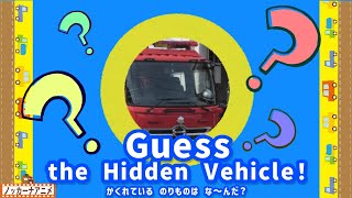 動画サムネイル