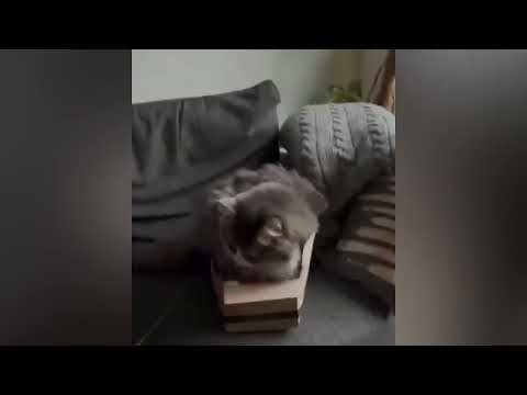Test Video
