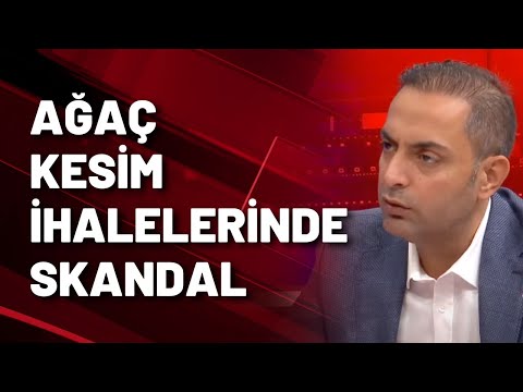 3 AYDA 15 MİLYON AĞAÇ KESİLECEK! Murat Ağırel belgeleriyle açıkladı!