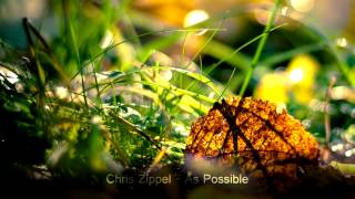Chris Zippel -  As Possible