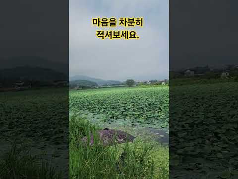 유튜브이미지
