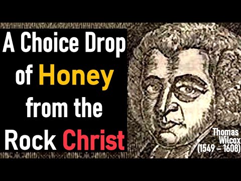 A Choice Drop of Honey from the Rock Christ - Puritan Thomas Wilcox