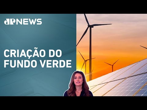 Aceleração da transição energética é aprovada no Senado; Patrícia Costa analisa