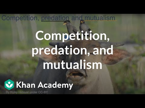 Competition, predation, and mutualism | Middle school biology | Khan Academy