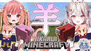 【 Minecraft 】羊毛機外観建築～🐏ななし新鯖！【 飛良ひかり┋瀬島るい┋ななしいんく】