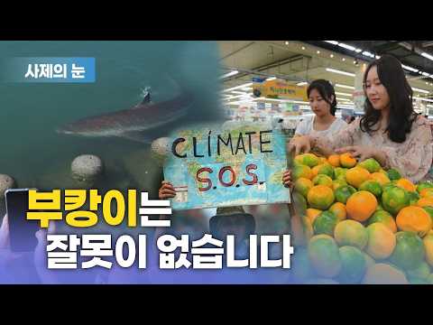 사제의눈 "부캉이는 잘못이 없습니다"