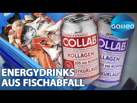 8 Mio. verkaufte Dosen pro Jahr! Der isländische Energydrink aus Fischabfällen | Galileo | ProSieben