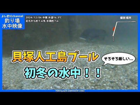 【大荒れ】そろそろ厳しい... 大阪の釣り場  貝塚人工島プール  2024年12月 初冬の水中映像  No.408