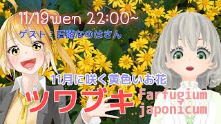 【モカイギ】ツワブキについて語ろう ゲスト：石蕗なのはさん ／花白もか【Vtuber】