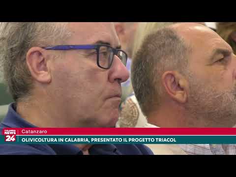 Catanzaro: Olivicoltura in Calabria, presentato il progetto Triacol