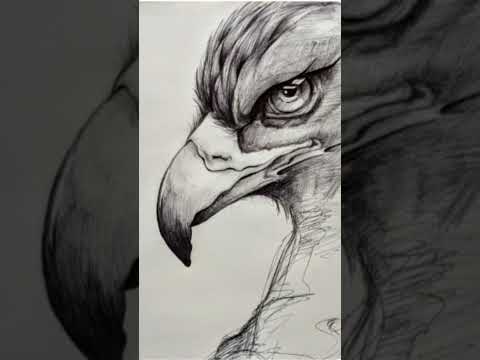 shading drawing and Subhas Chandra Bose ki drawing wait for and#viral #drawing