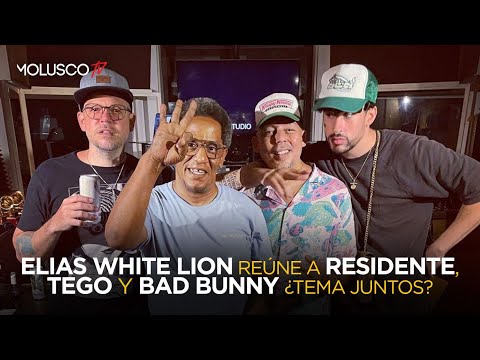 ¿ Bad Bunny, Residente Y Tego juntos en un tema ? ( Explicación completa )