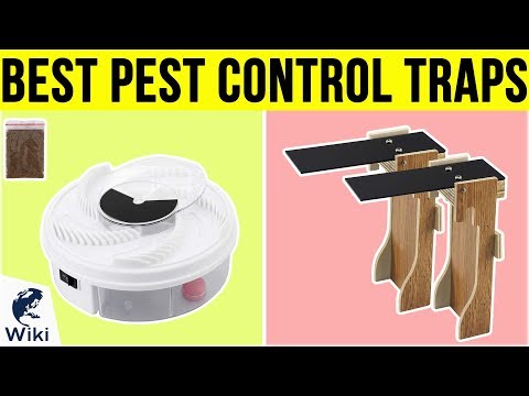 10 Best Pest Control Traps 2019 - UCXAHpX2xDhmjqtA-ANgsGmw