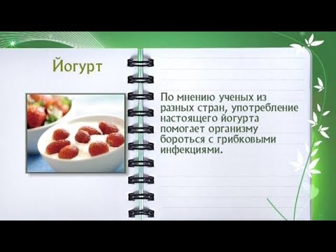 Кулинарная энциклопедия - Йогурт - UC7XBjhXnmmXFsxmnys9PmDQ