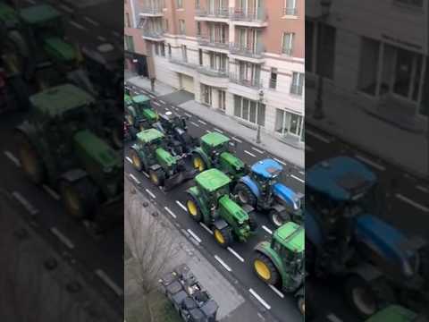 Protesta degli agricoltori: a Bruxelles i trattori bloccano l'accesso al Parlamento Europeo #shorts