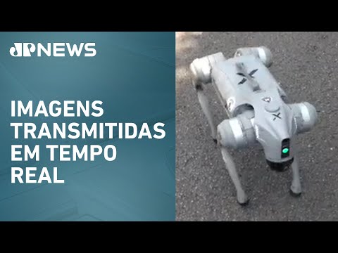 Carnaval 2025: Cachorro robô da GCM vigia megablocos em São Paulo