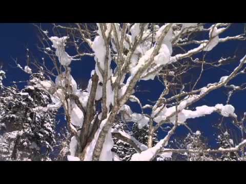 Jake Blauvelt Naturally Episode 2: Japan With Heikki Sorsa - UC_dM286NO7QhuX18nMW0Z9A