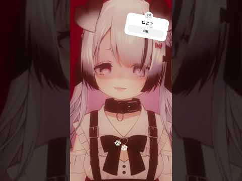 thumbnail_S8tgnYG5wZ0