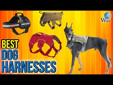 9 Best Dog Harnesses 2017 - UCXAHpX2xDhmjqtA-ANgsGmw