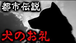 【都市伝説】犬のお礼【感動する話】