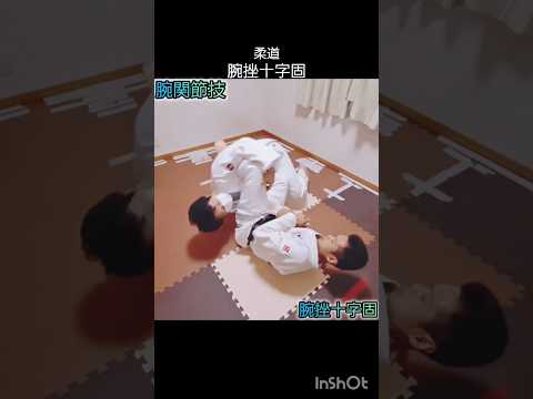 【柔道】腕挫十字固🥋 #judo #shorts