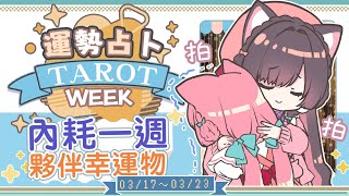 【一周運勢】對抗內耗！小夥伴是你幸運物！☆【塔羅占卜】【櫻野露】
