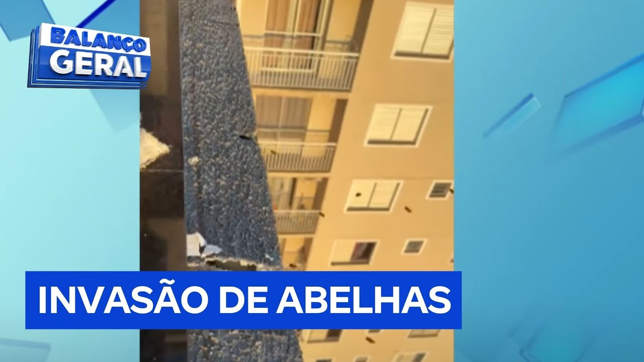 Morador tenta espantar enxame com água sanitária e abelhas invadem 13 apartamentos