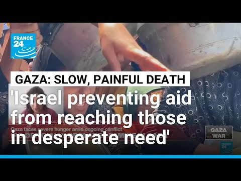 'Bombs or starvation: People in Gaza waiting to see what will kill them first' (NRC's Shaina Low)