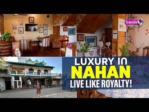 Live Like Royalty! Inside the Maharaja's Seclude Nahan Bantony Cottage #travel #staycation #minivlog