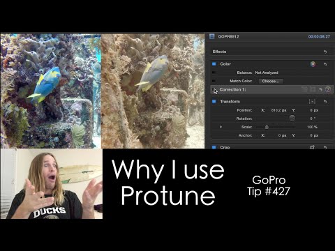 Why I use Protune for underwater - GoPro Tip #427 - UCTs-d2DgyuJVRICivxe2Ktg